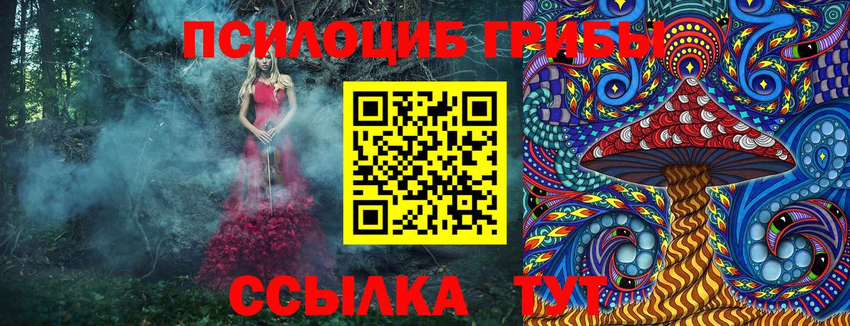 Псилоцибиновые грибы мицелий Зима