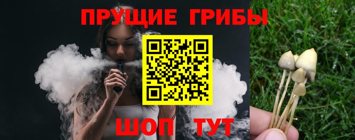 Зима  Псилоцибиновые грибы MAGIC MUSHROOMS  Вход с VPN 