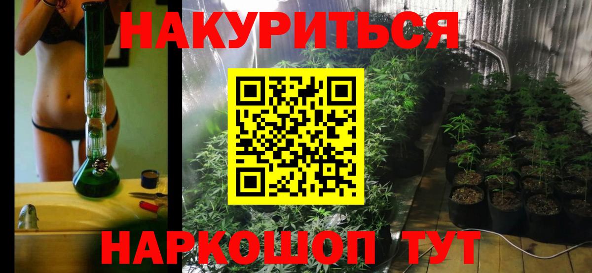 Шишки марихуана гибрид Зима
